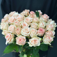 33 нежно-розовые розы 60 см фото
