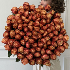 101 Dutch peony rose of Cahala photo