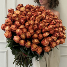 101 Dutch peony rose of Cahala photo