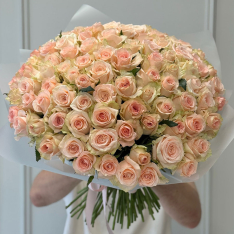 101 троянда Кімберлі фото