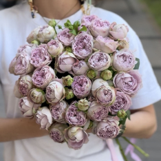 11 bush peony roses Blossom Bubbles photo