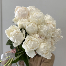 15 Dutch White Peonies photo