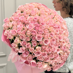 151 кенийская роза Babyface 50 см фото