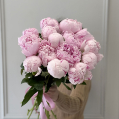 15 Dutch Pink Peonies photo