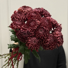 15 Chrysanthemums Bigudi buketland.ua 15 Chrysanthemums Bigudi photo