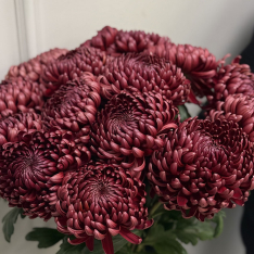 15 Chrysanthemums Bigudi buketland.ua 15 Chrysanthemums Bigudi photo