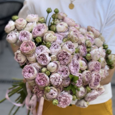 21 bush peony roses Blossom Bubbles photo