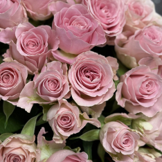 25 кенийских роз Babyface 50 см фото