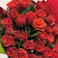 25 красных роз Eltoro 50 см фото