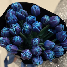 25 пионовидных синих тюльпанов фото