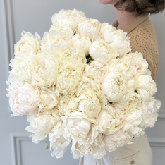 33 Dutch White Peonies photo
