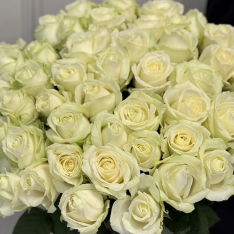 51 white Avalanche roses 70 cm photo