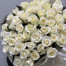 51 біла троянда Beluga 50 см  фото