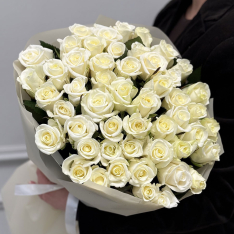 51 біла троянда Beluga 50 см  фото