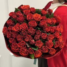 51 красная роза Eltoro 50 см фото