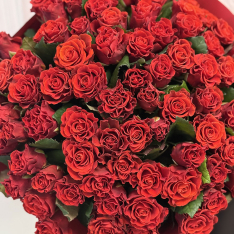 77 красных роз Eltoro 50 см фото