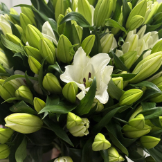 Букет з 75 лілій фото