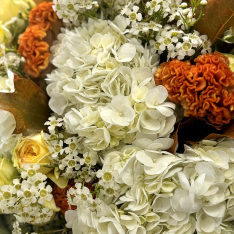 Bouquet of flowers "Sunny Whisper" 