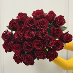 Голландская красная роза Explorer 80 см фото