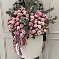 101 pink peonies in a box photo