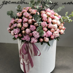 101 pink peonies in a box photo