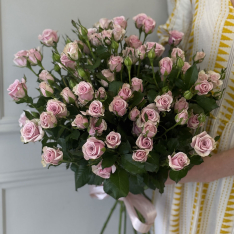 11 pink bush roses Leila photo