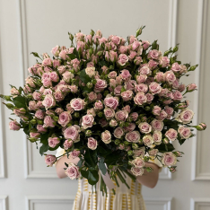  33 pink bush roses Leila photo
