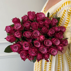 33 roses Prince of Persia  photo
