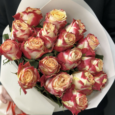 17 эквадорских роз в ассортименте  фото