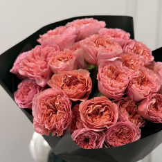 23 peony roses Candy Expression photo