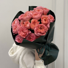 23 peony roses Candy Expression photo