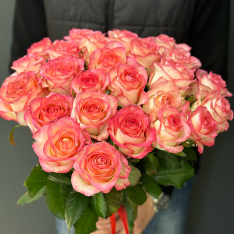 25 розовых роз Jumilia 60 см фото