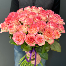 33 розовые розы Jumilia 60 см фото