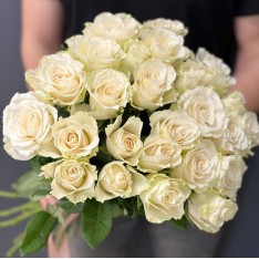 25 white imported roses photo