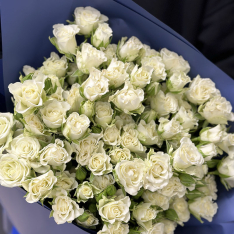 25 кенійських кущових білих троянд фото