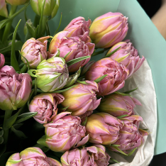 25 пионовидных тюльпанов в ассортименте фото