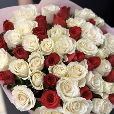 51 red and white imported roses photo