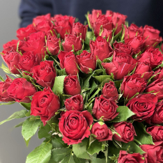 51 red imported roses photo