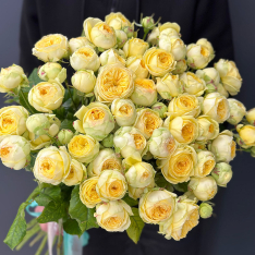 21 кустовая пионовидная роза Пиони Баблз  фото