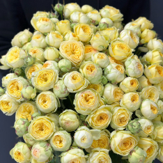 33 кустовых пионовидных роз Пиони Баблз  фото