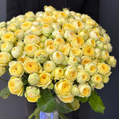 51 кустовая пионовидная роза Пиони Баблз  фото