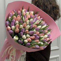 101 тюльпан мікс (3 кольори) фото