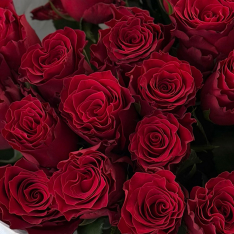 25 голландских роз «Родос» фото