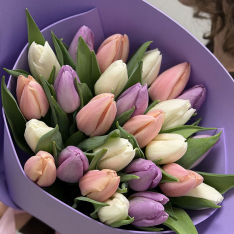 25 тюльпанів мікс (3 кольори) фото