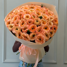 51 півонієподібна троянда «Мелон Експрешн» фото