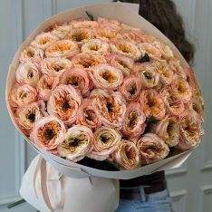 51 півонієподібна троянда «Мелон Експрешн» фото