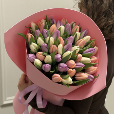 51 тюльпан мікс (3 кольори) фото