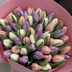 51 тюльпан мікс (3 кольори) фото