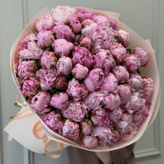 55 Sarah Bernhardt peonies photo