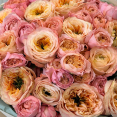 Букет півонієподібних троянд мікс фото